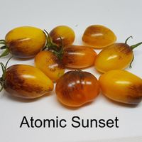 Atomic Sunset